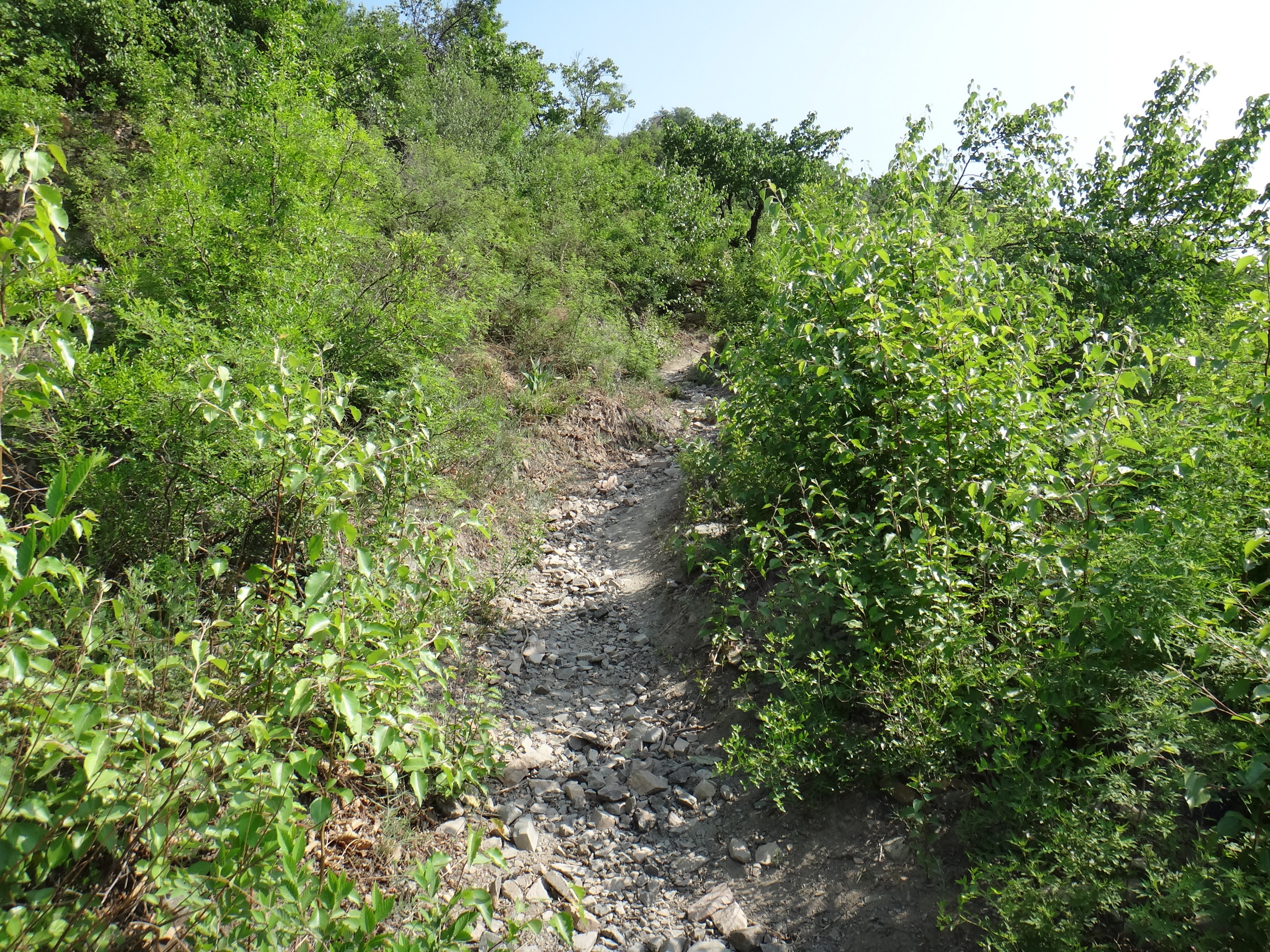 DSC01044