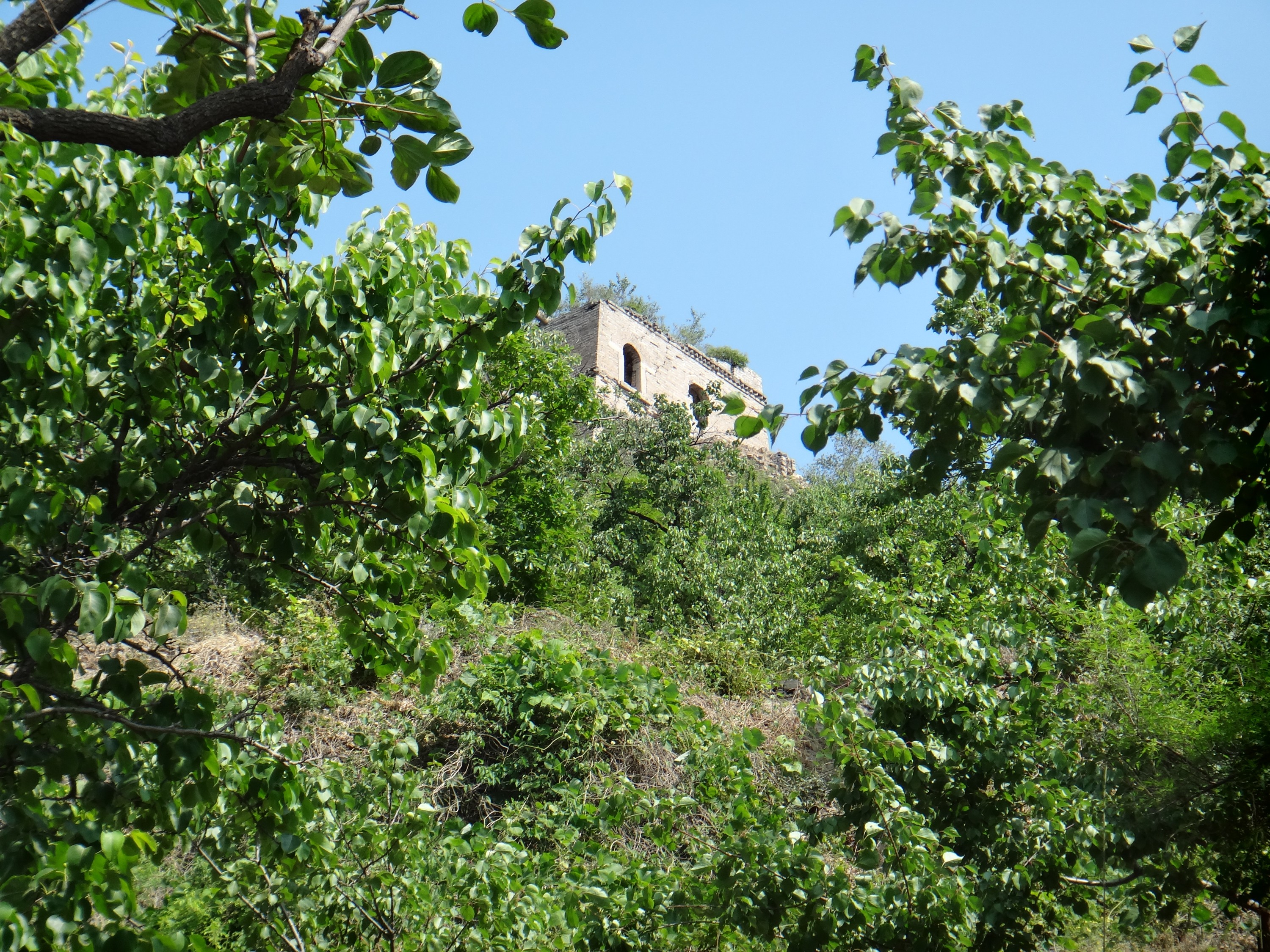 DSC01046